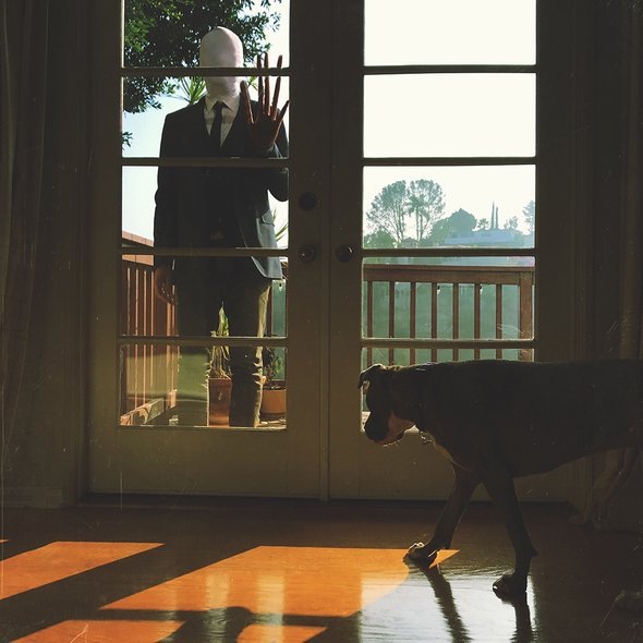    Фото: Todd Squires / Shutterstock / Fotodom