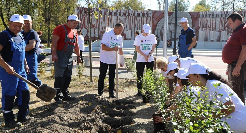    Администрация Павлово-Посадского городского округа