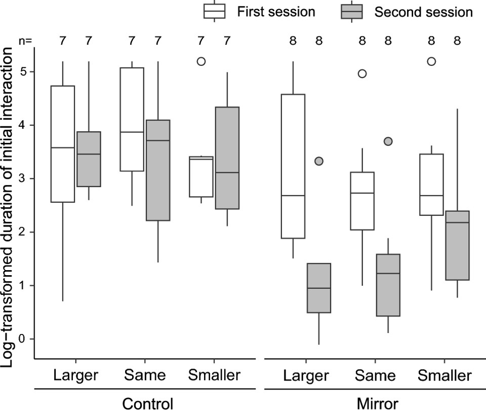   Taiga Kobayashi et al. / Scientific Reports, 2024