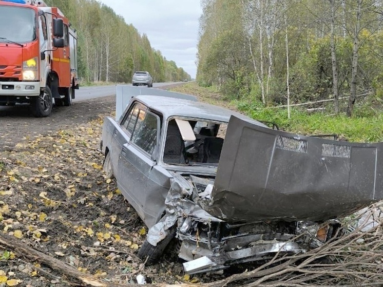     Фото: МЧС Томской области