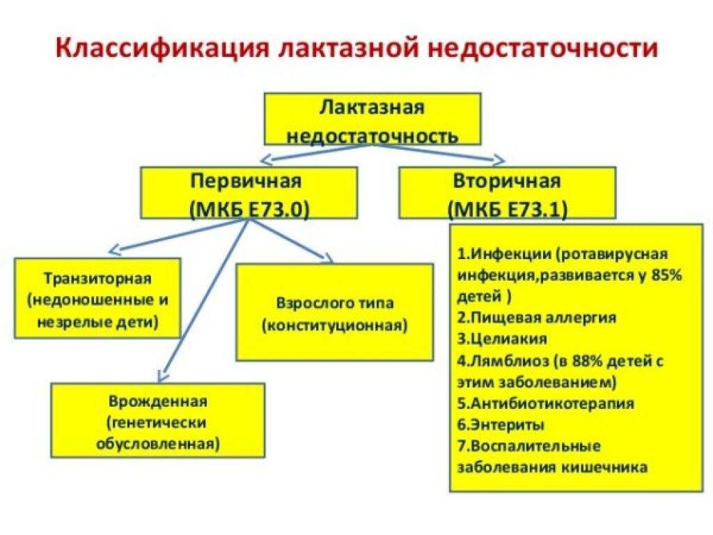 Непереносимость лактозы у младенца: симптомы и лечение