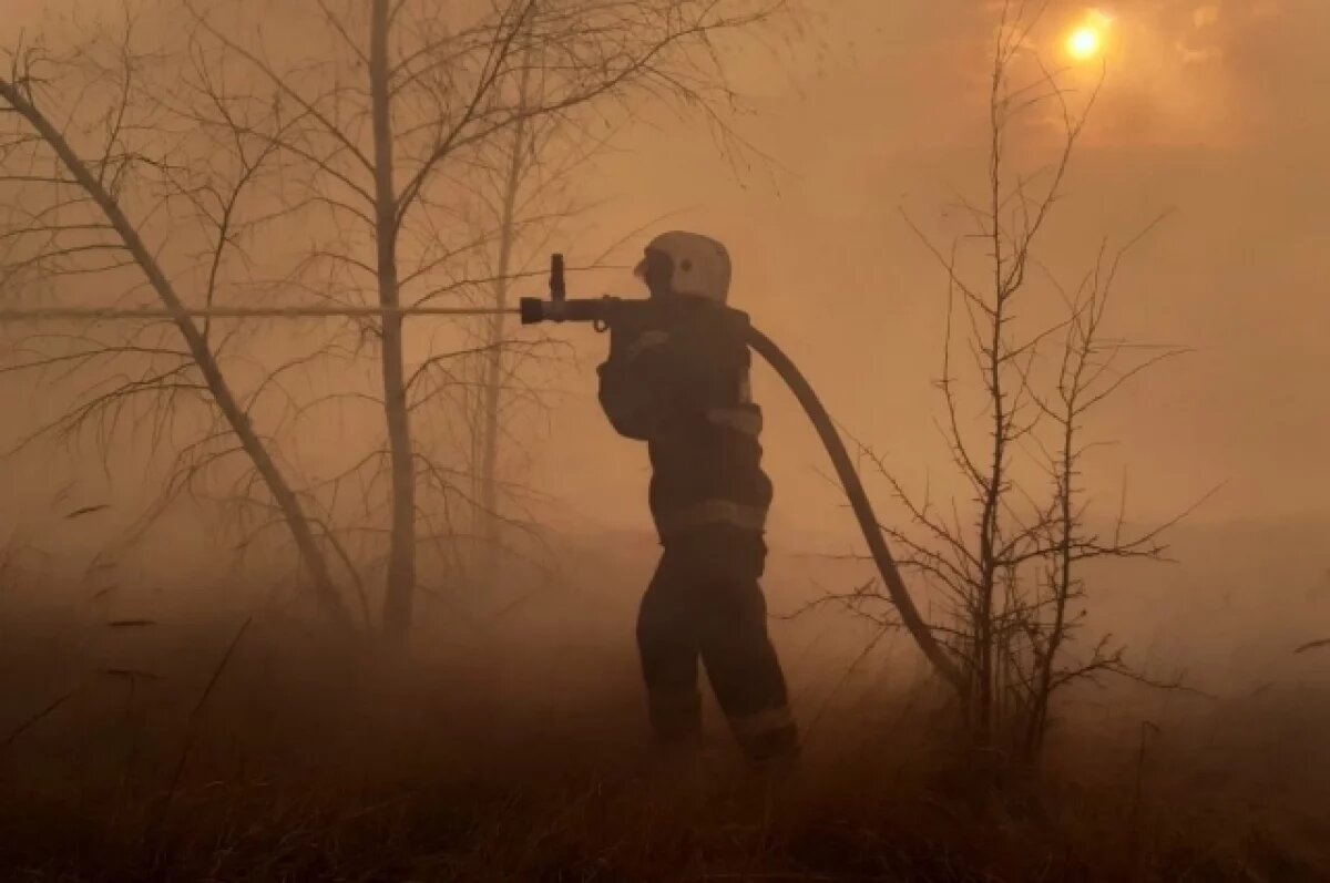    «Деревья вспыхивали за секунду».