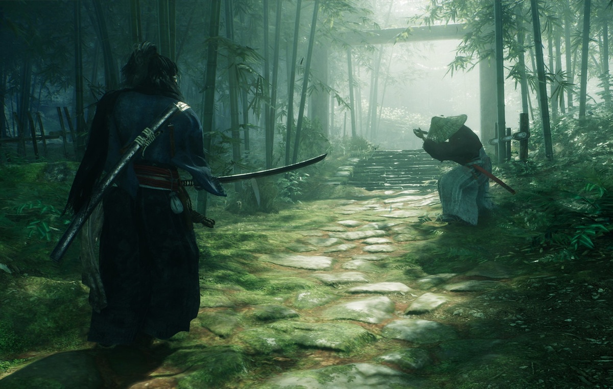 Rise of the Ronin