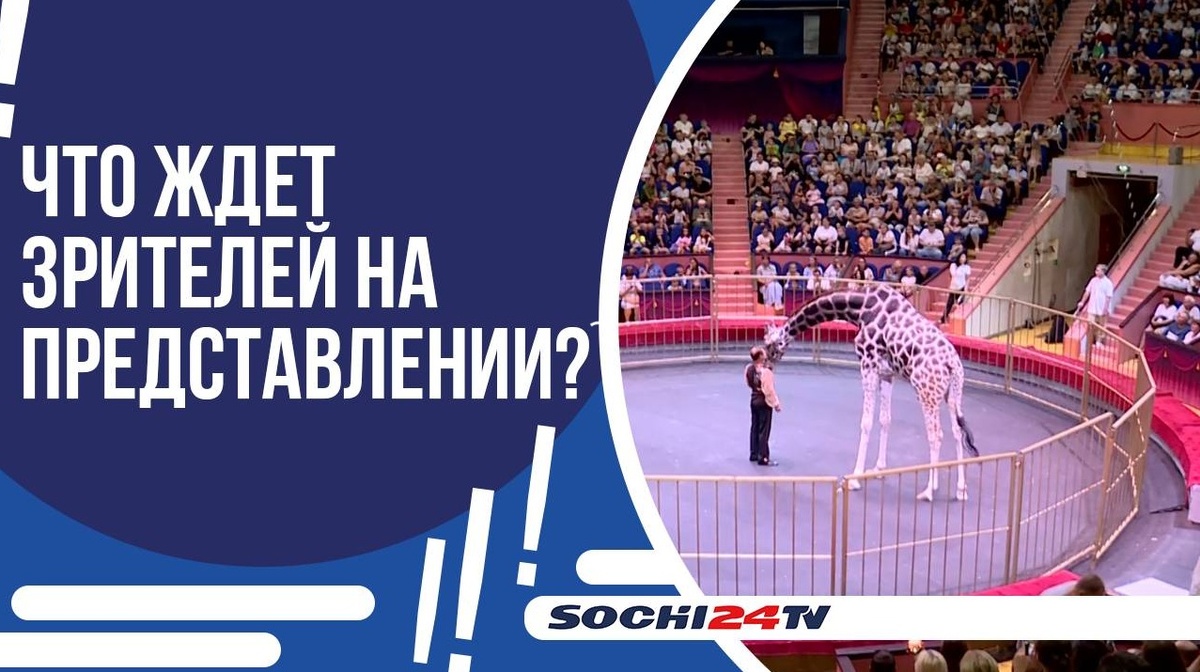    фото: Сочи 24