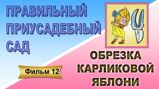 Правильный приусадебный сад Фильм 12 Обрезка карликовой яблони