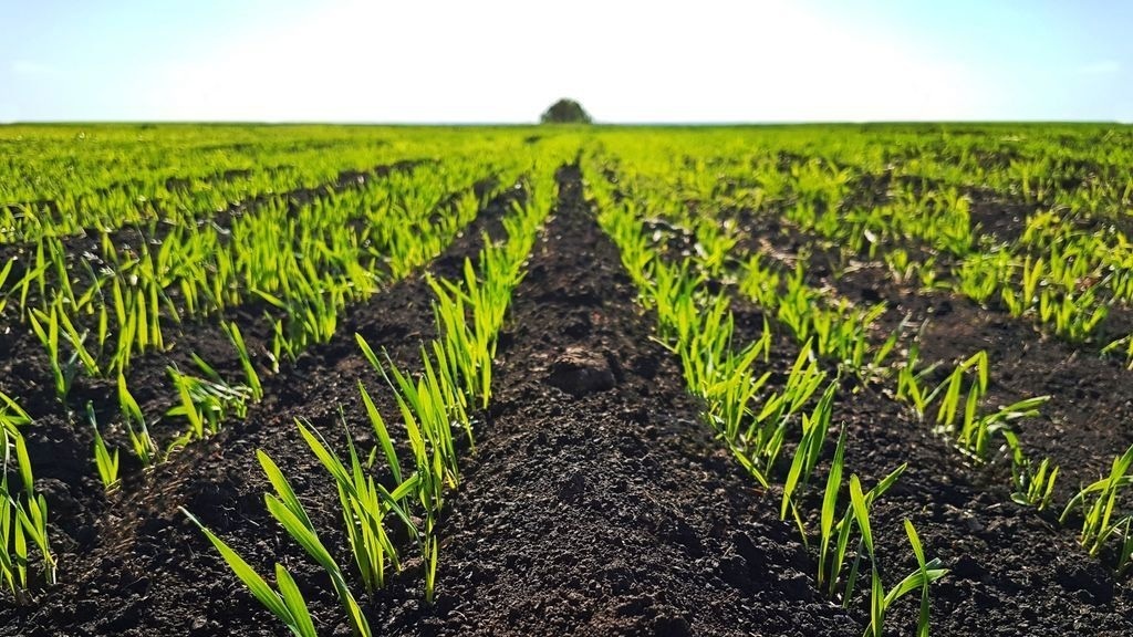 Меня всегда привлекало чудо зарождения земли.