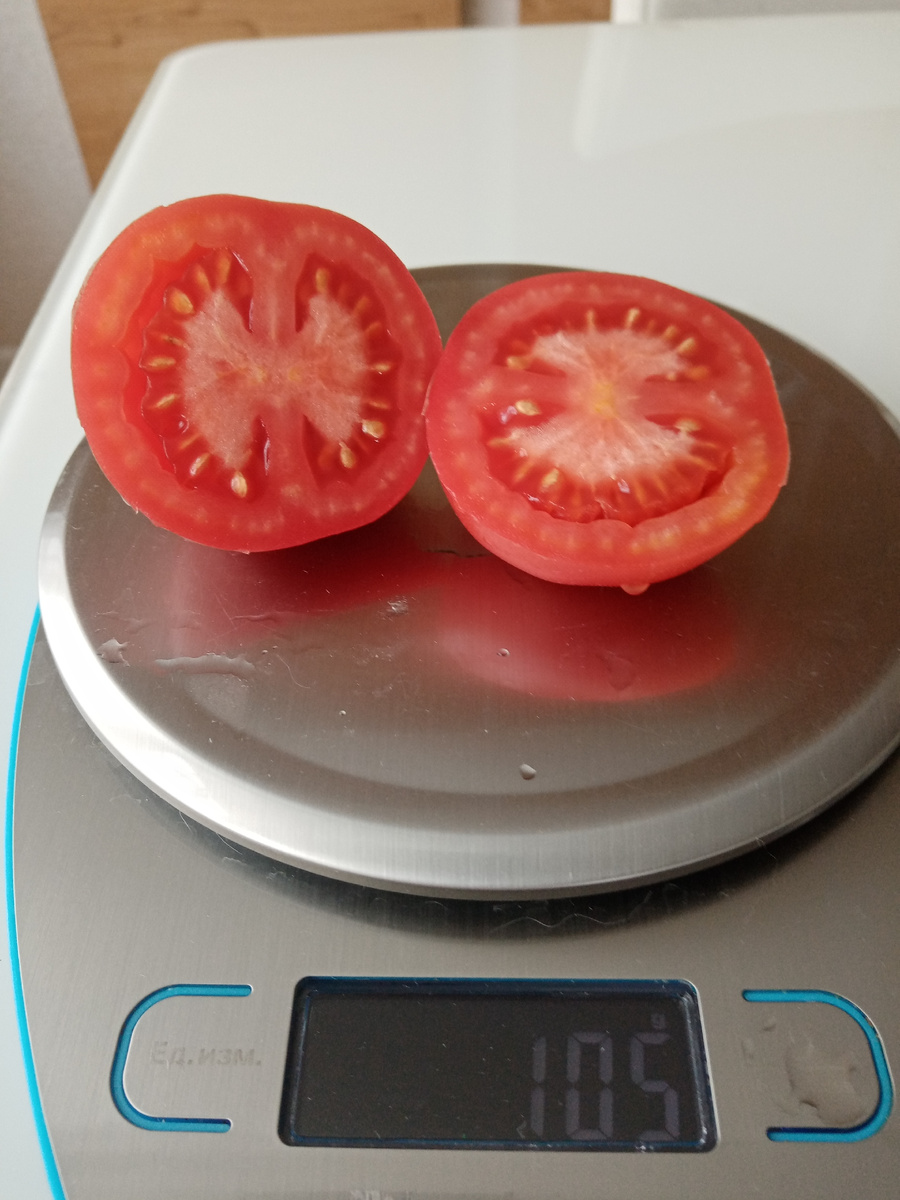 Вот так Сызранская пипочка выглядит на разрезе. Фото автора.