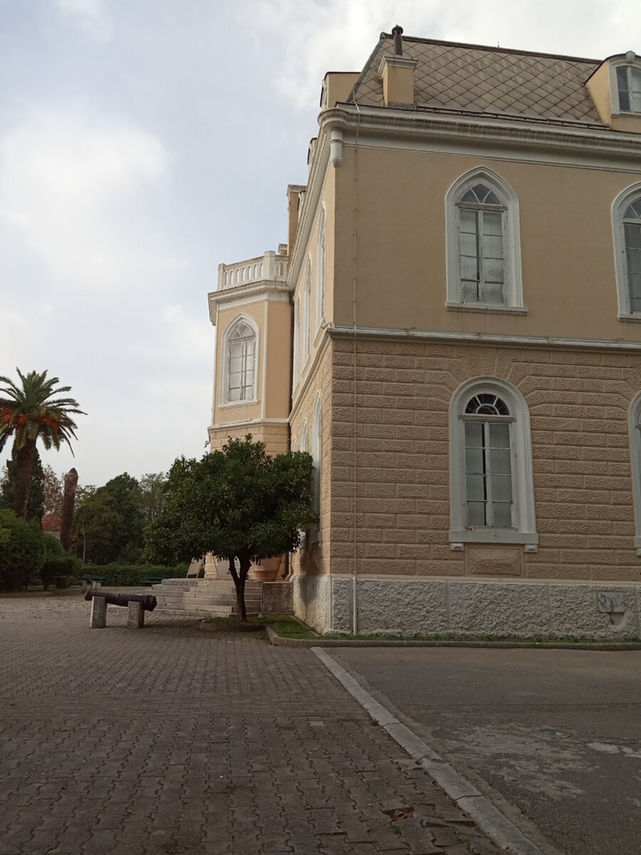 Бар, Дворец короля Николы