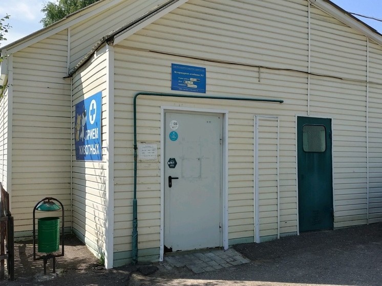     фото Яндекс-карты