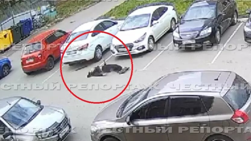     Источник: соцсети