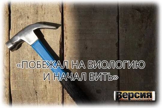    «Побежал на биологию и начал бить»
