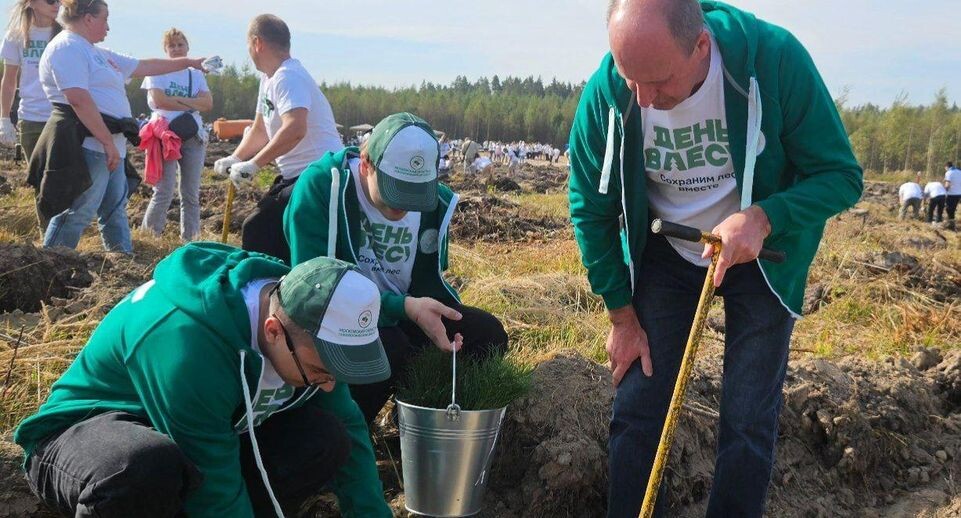    Московский областной онкологический диспансер