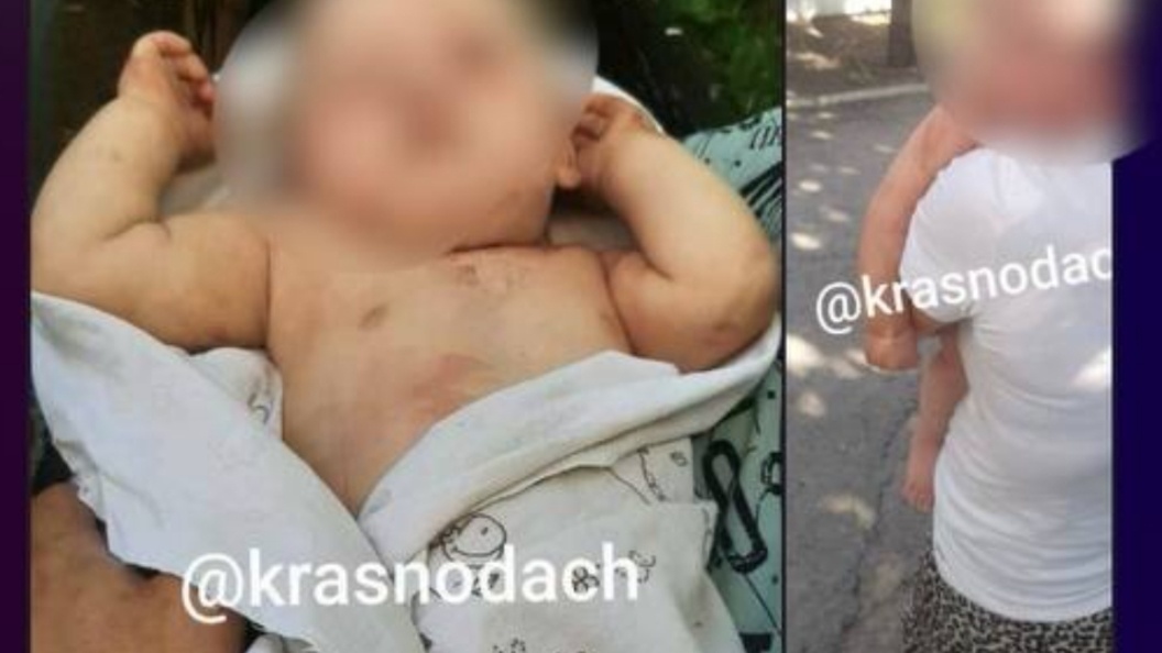    Фото: полиция Краснодара