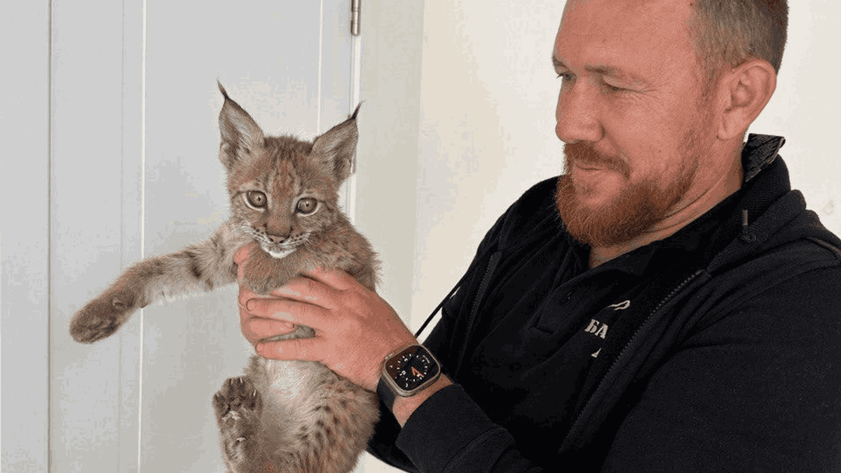    Фото: страница Александра Чубакова во «ВКонтакте»