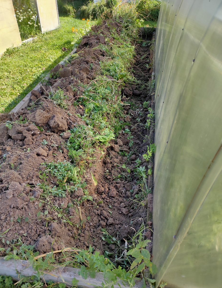 Траншея вдоль теплицы