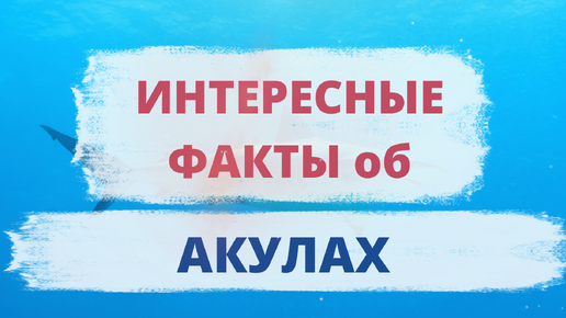 ИНТЕРЕСНЫЕ ФАКТЫ об АКУЛАХ. Акулы на 250 миллионов лет старше динозавров