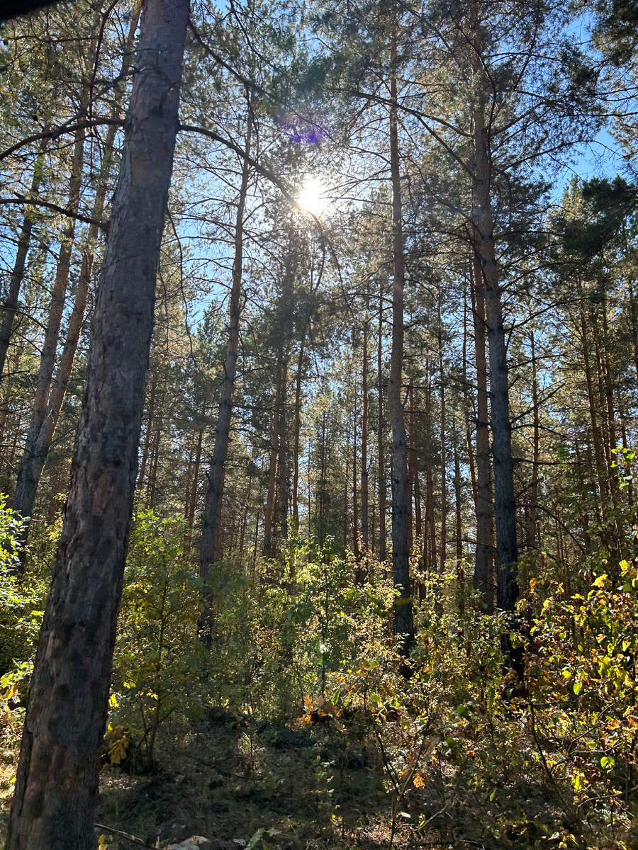 Несмотря на плохую дорогу, вокруг очень живописно
