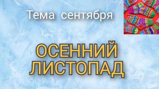 СП Носочный календарь 2024. Отчёт сентябрь. Участник 26.