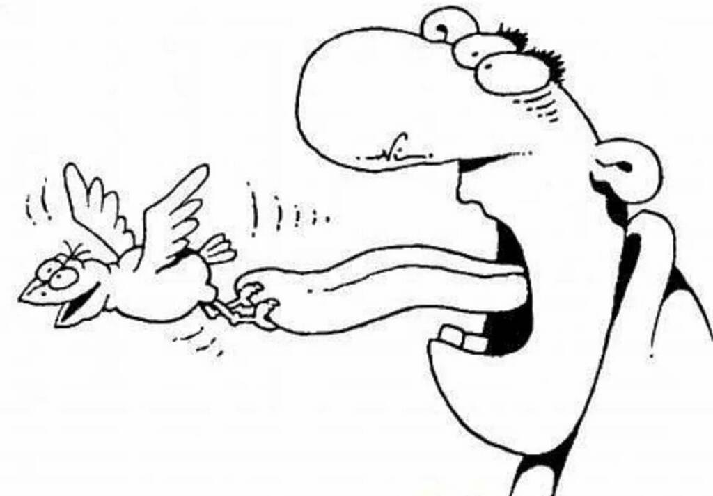 рисунок из интернета