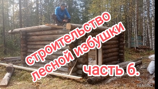 Строительство лесной избушки. Часть 6.