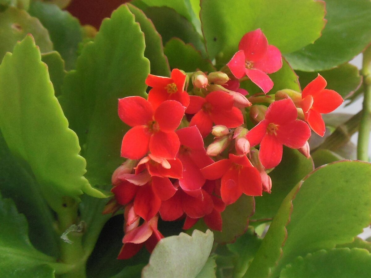 Фото автора канала