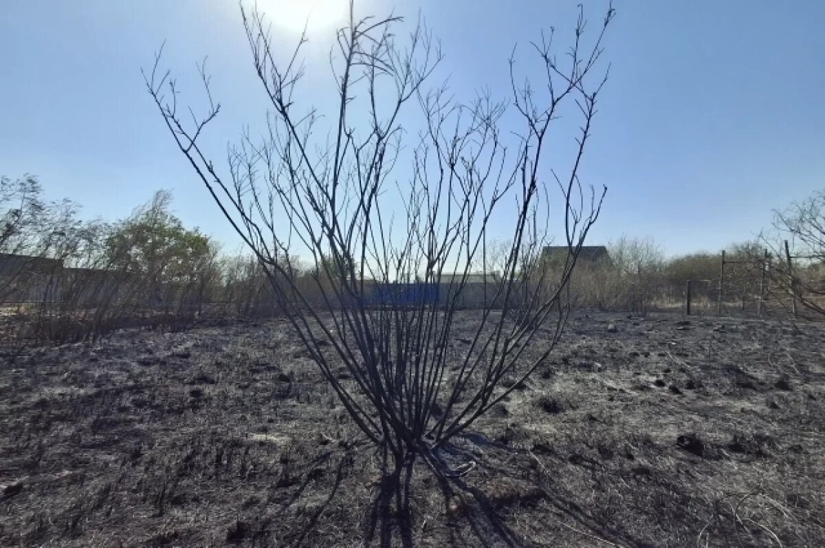    Ущерб от пожаров в Ростовской области оценит специальная комиссия