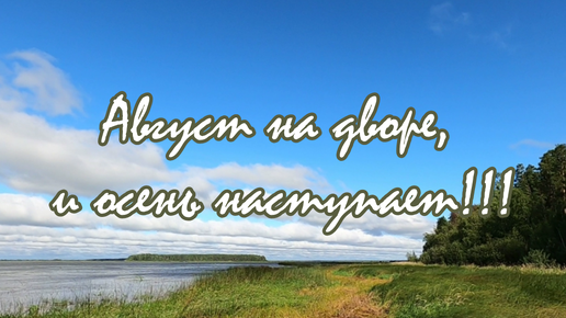 Август в Сибири/дорога в деревню/лебеди