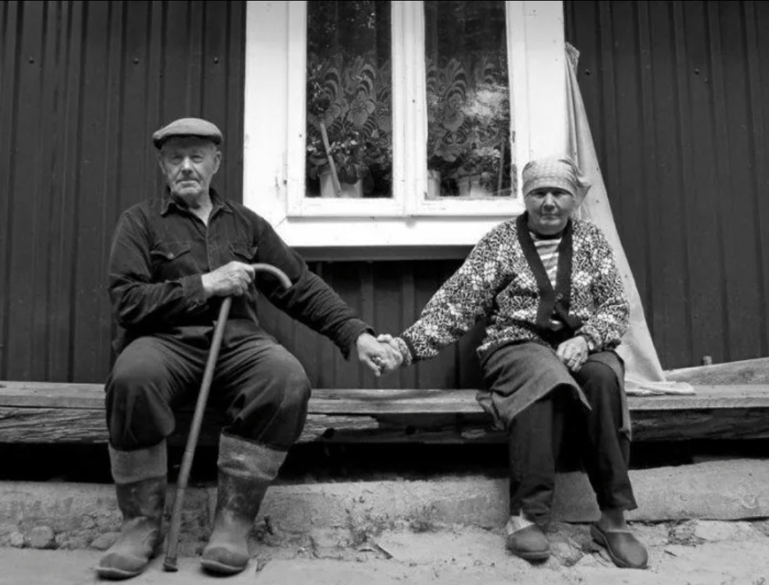 Яндекс. Плиск