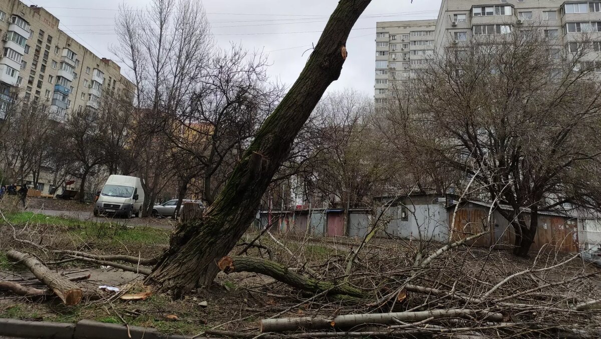     Источник: rostovgazeta.ru