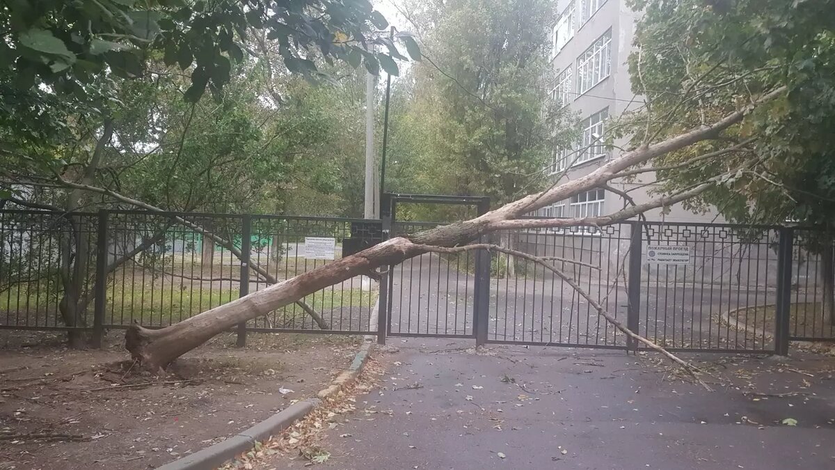     Источник: rostovgazeta.ru
