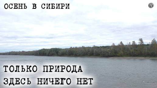 Прогулка по осенней Сибири Здесь ничего нет Только природа 15 сент 2024 ЧМ