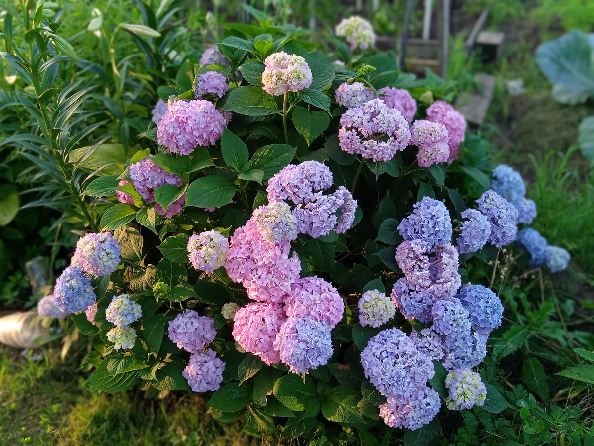 Бесконечное лето, наверное))) 