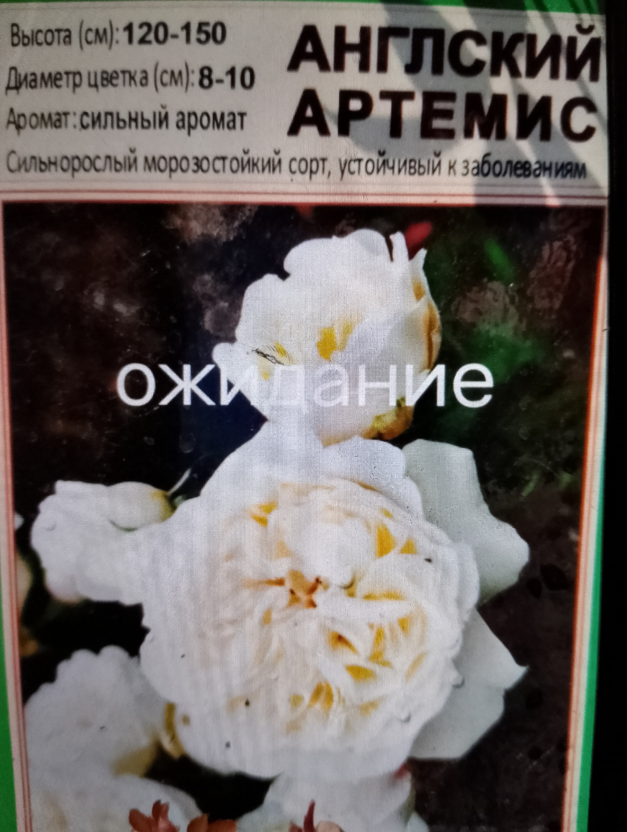 Извиняюсь за качество фото