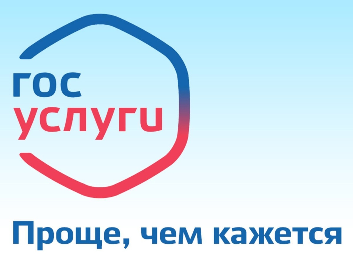 Баннер госуслуг из интернета