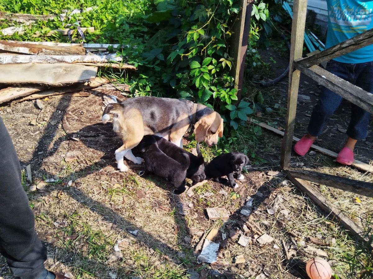 Нас здесь трое. а было семь!