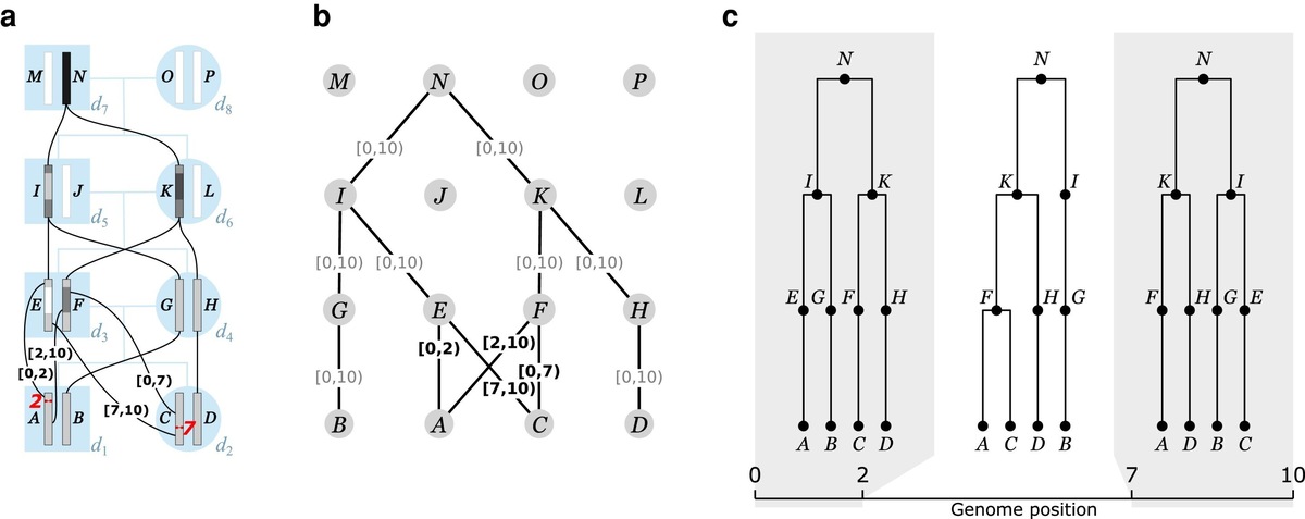    GENETICS