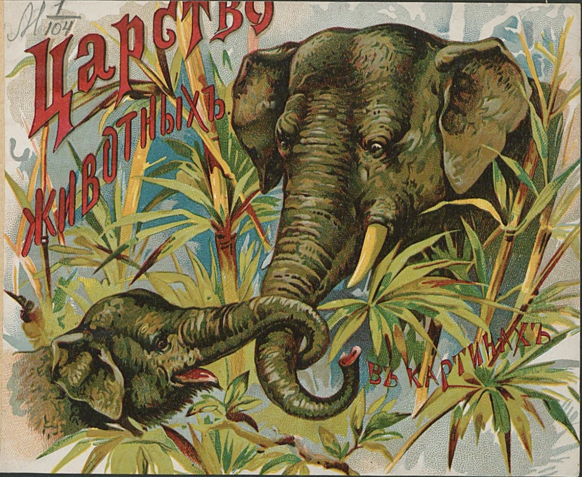 Обложка книги «Царство животных в картинках» Тулупова Н.В. 