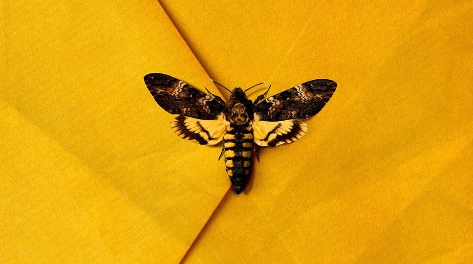 Замечательные испанские триллеры, которые стоит посмотреть 💥