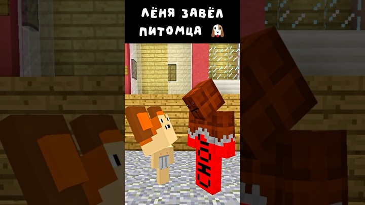 Новый ПИТОМЕЦ🥴 #minecraft #майнкрафт