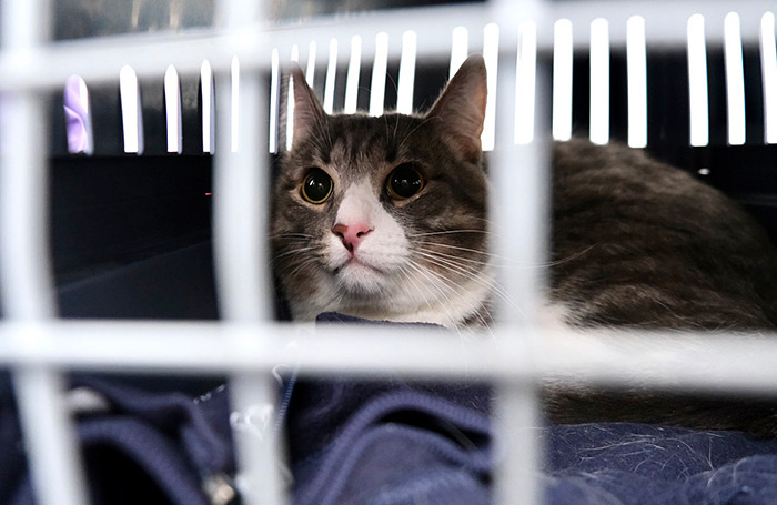    Марина Терехова/Фотобанк Лори