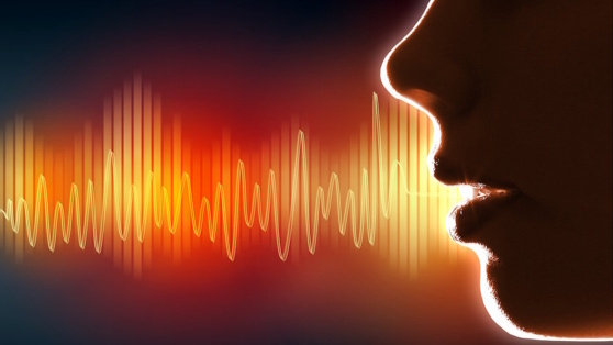    Законопроект для защиты россиян от подделки их голоса внесен в Госдуму Роман Захаров