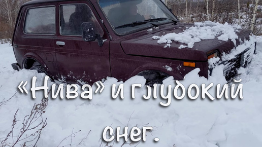 Нива и глубокий снег.