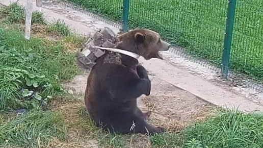 Помощь от Мансура начинающим туристам- делаем рюкзак🐻🎒😆