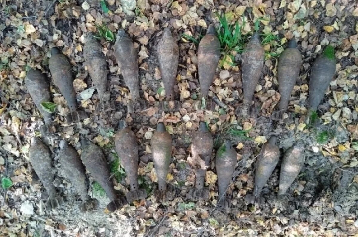    Сотрудники калужского МЧС обезвредили 19 снарядов времен ВОВ