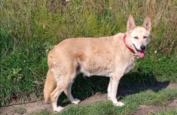 Об этом нам теперь и не узнать. 