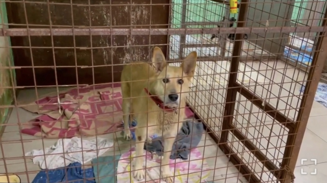 провели лечение. 