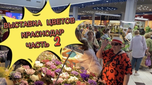 ВЫСТАВКА ЦВЕТОВ В КРАСНОДАРЕ | часть 2