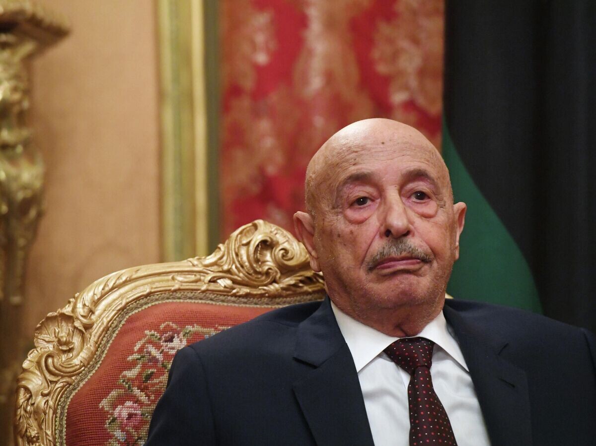    Председатель парламента Ливии Акила Салех во время встречи с министром иностранных дел РФ Сергеем Лавровым в Москве© РИА Новости / Илья Питалев