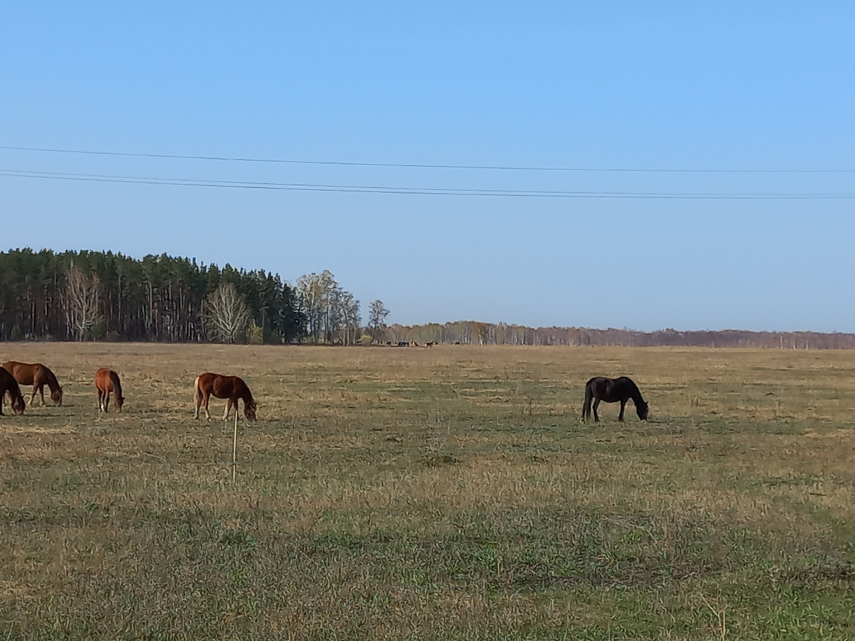 В окрестностях посёлка Лазурный