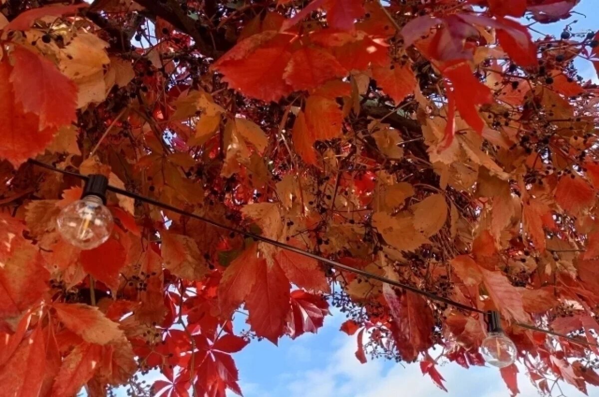    В Алтайском крае 17 сентября будет сухо и прохладно